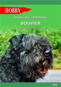 Picture of Bouvier