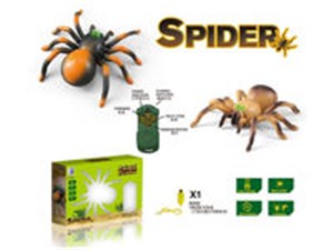 Picture of Pająk na radio pająk na radio