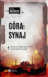 Obrazek Góra Synaj