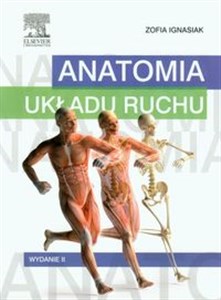 Picture of Anatomia układu ruchu