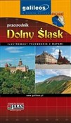 Przewodnik... - Opracowanie Zbiorowe -  Polish Bookstore 