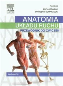 Picture of Anatomia układu ruchu Przewodnik do ćwiczeń