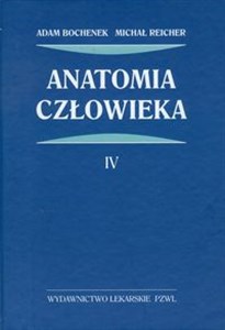 Obrazek Anatomia człowieka Tom 4