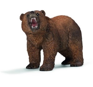 Picture of Niedźwiedź Grizzly