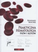 Praktyczna... - Reinhard Mischke -  foreign books in polish 