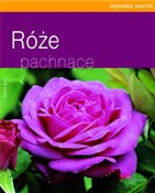 polish book : Róże pachn... - Heide Rau