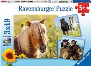 Obrazek Puzzle Kochane konie 3x49