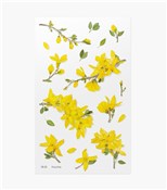 Naklejki o... -  books in polish 