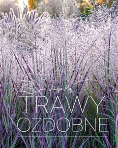 Picture of Trawy ozdobne