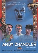polish book : Przygody T... - Andy Chandler