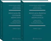 System Pra... - Maria Boratyńska, Przemysław Konieczniak, Eleonora Zielińska -  books in polish 