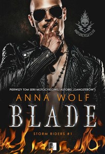 Picture of Blade Storm Riders #1