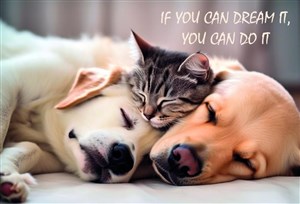 Obrazek Mata mała dwustronna z nadrukiem frendship