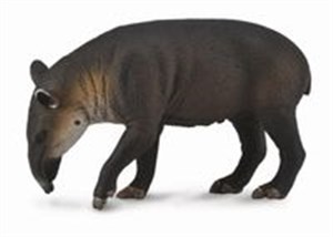 Obrazek Tapir Bairda L