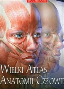 Obrazek Wielki atlas anatomii człowieka