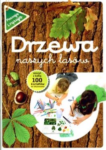 Picture of Drzewa naszych lasów Zeszyt z kalką. 100 kształtów do odrysowania.