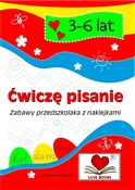 Ćwiczę pis... - Agnieszka Wileńska -  books from Poland