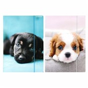 Polska książka : Teczka z g...