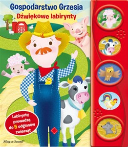 Picture of Gospodarstwo grzesia dźwiękowe labirynty