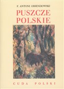 polish book : Puszcze po... - Antoni Ferdynand Ossendowski