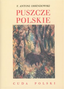 Picture of Puszcze polskie Cuda Polski