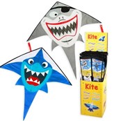 polish book : Latawiec R...