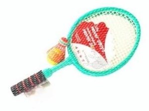 Picture of Badminton