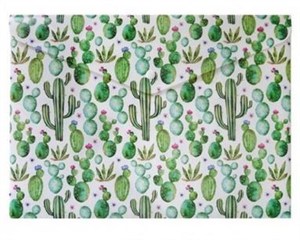 Picture of Teczka A4 Kaktus