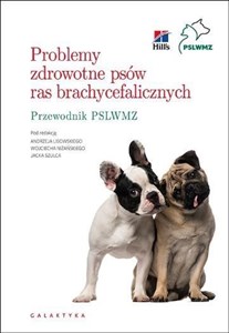 Picture of Problemy zdrowotne psów ras brachycefalicznych