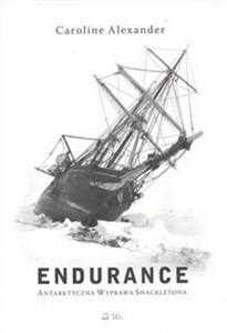 Picture of Endurance Arktyczna wyprawa Shackletona