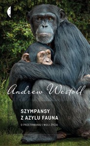 Picture of Szympansy z azylu Fauna O przetrwaniu i woli życia