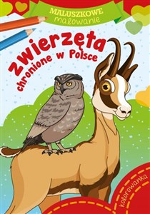 Picture of Zwierzęta chronione w Polsce. Maluszkowe malowanie