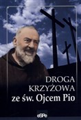 Droga krzy... - Dorota Mazur -  Książka z wysyłką do UK