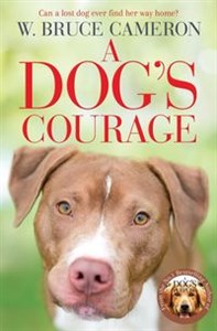 Picture of A Dog's Courage