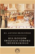 Rys dziejó... - Antoni Brzeziński -  Książka z wysyłką do UK