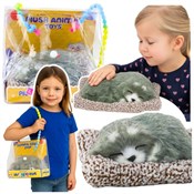 Śpiący hus... -  books in polish 