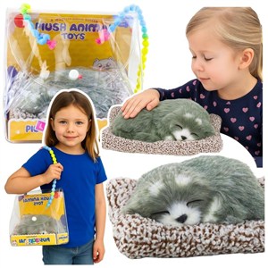 Picture of Śpiący husky na poduszce dżwięk