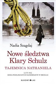 Picture of Nowe śledztwa Klary Schulz Tajemnica Nathaniel