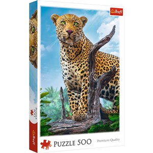 Picture of Puzzle Dziki lampart 500 37332