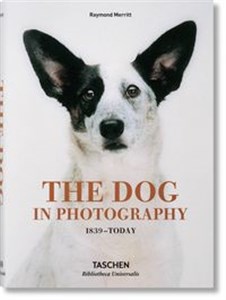 Picture of The Dog in Photography 1839 - Today