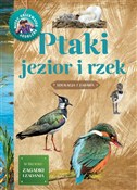 polish book : Młody Obse... - Michał Brodacki