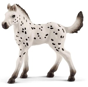 Obrazek Źrebię Knabstrupper