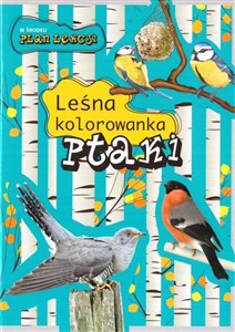 Picture of Ptaki Leśna kolorowanka