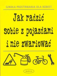 Obrazek Jak radzić sobie z pojazdami i nie zwariować