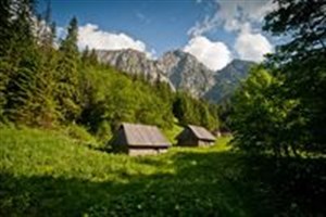 Obrazek Kartka 3D Tatry, Dolina Strążyska