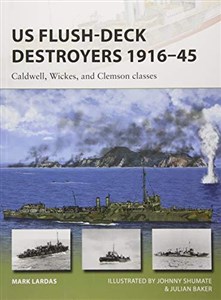 Picture of US Flush-Deck Destroyers 1916-
