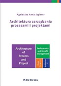 Architektu... - Agnieszka Anna Szpitter -  foreign books in polish 