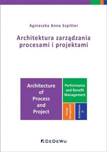 Picture of Architektura zarządzania procesami i projektami