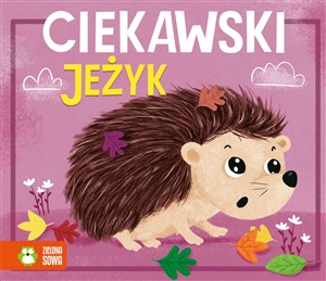 Picture of Historyjki harmonijki Ciekawski jeżyk