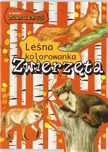 Picture of Zwierzęta Leśna kolorowanka